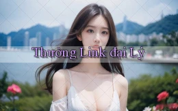 Thưởng Link đại lý